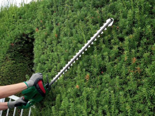 Parkside® 650W electric hedge trimmer - immagine 3